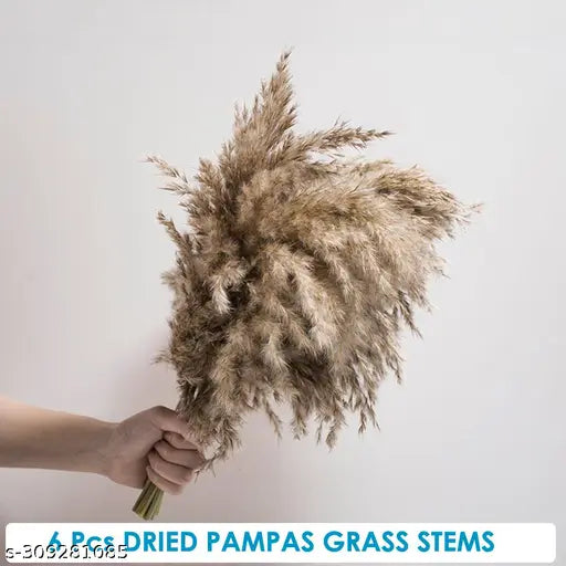 18 inch Long Natural Dried Premium Pampas Grass for Home, Office, Wedding and Events Decor – Fluffy, No Shedding and No Stench (6 pcs)