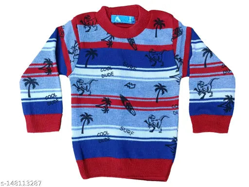 "Boys Sweater Size - 2-3 Years, Multicolor"