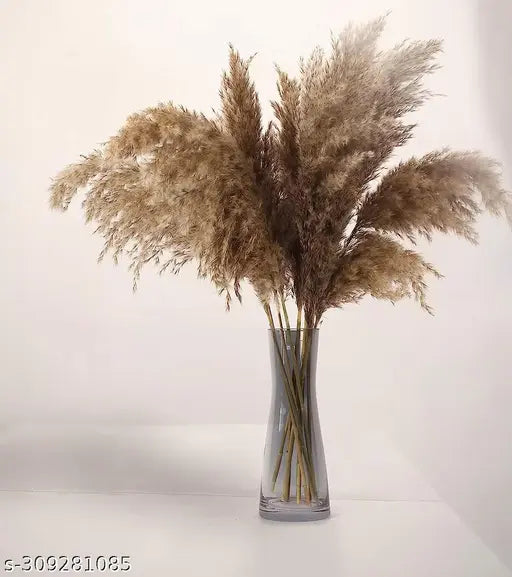 18 inch Long Natural Dried Premium Pampas Grass for Home, Office, Wedding and Events Decor – Fluffy, No Shedding and No Stench (6 pcs)