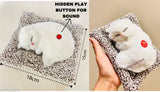 IMPORTED SLEEPING MUSICAL CAT GIFTING MADE EASYY Music Imported Dashboard Decor Small Music Sleeping Cat meow sound Furry fur plush soft cat Interior Soft Toy Car dashboard Showpiece Home Decorating baby decor Office table White grey orange black white