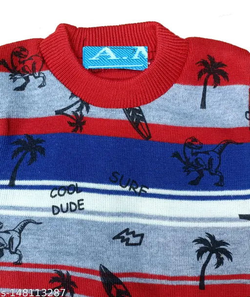 "Boys Sweater Size - 2-3 Years, Multicolor"